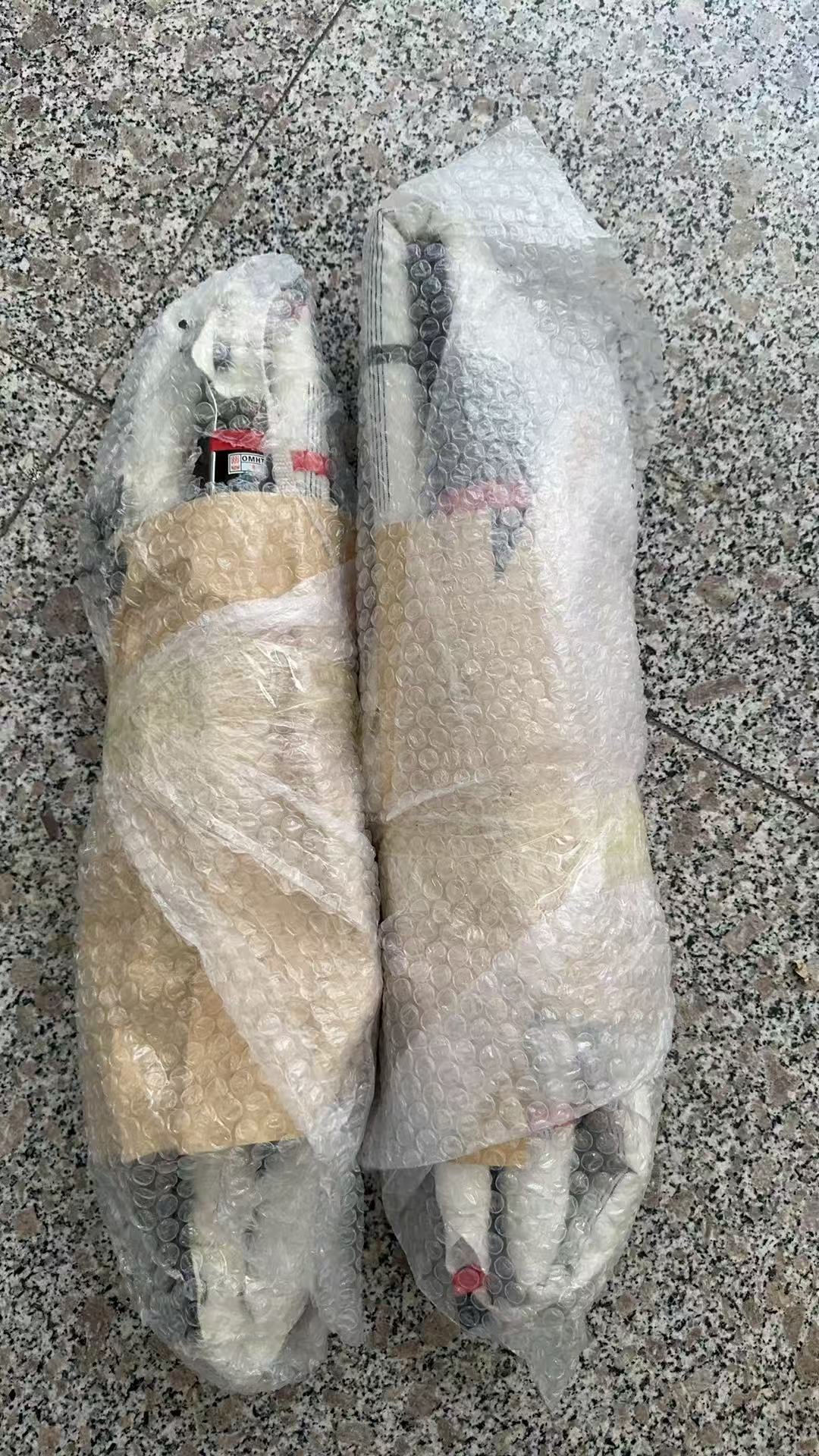 2019-2025 XT4 ROOF CURTAIN Airbag SET PAIR LEFT RIGHT NEW OE